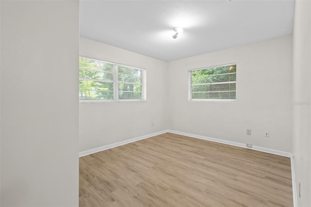 3445 NW 8th Ave, Gainesville, FL 32605 - photo 10
