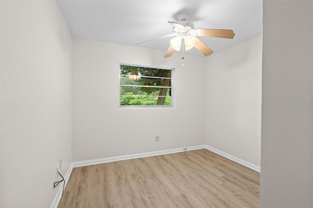 3445 NW 8th Ave, Gainesville, FL 32605 - photo 19