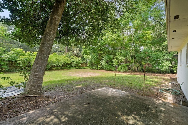 3445 NW 8th Ave, Gainesville, FL 32605 - photo 22