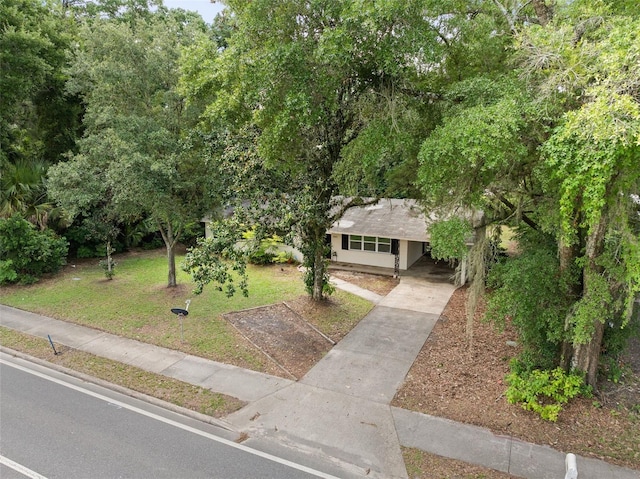 3445 NW 8th Ave, Gainesville, FL 32605 - photo 25