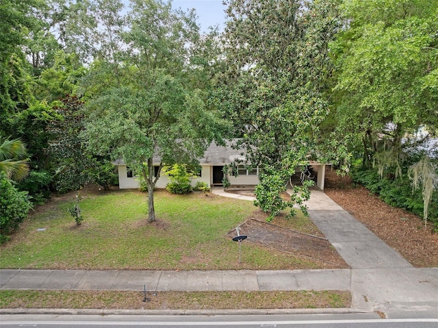 3445 NW 8th Ave, Gainesville, FL 32605 - photo 26