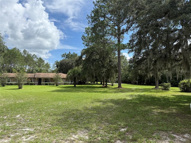 8421 SW 137th Ave, Archer, FL 32618 - photo 4