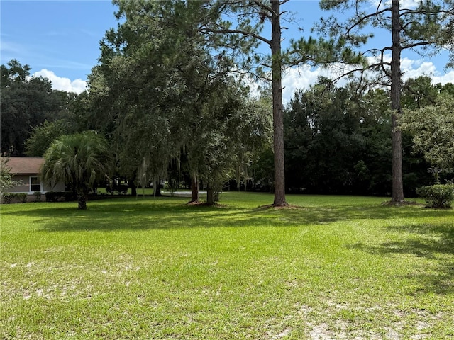 8421 SW 137th Ave, Archer, FL 32618 - photo 5