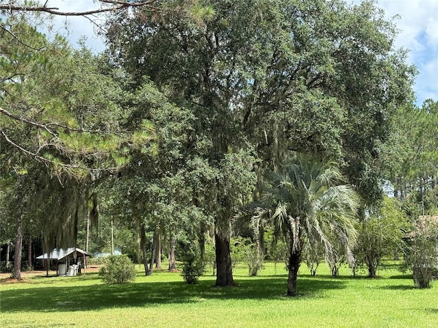 8421 SW 137th Ave, Archer, FL 32618 - photo 41