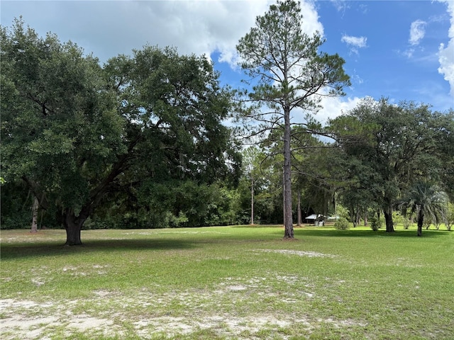 8421 SW 137th Ave, Archer, FL 32618 - photo 42