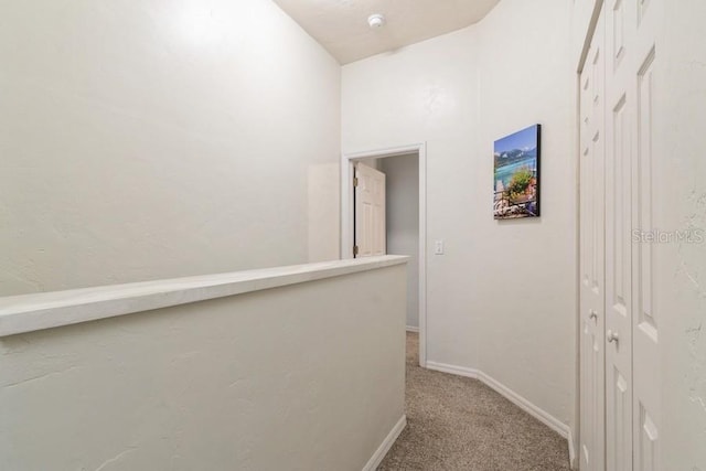 4415 SW 34th St Unit 204, Gainesville, FL 32608 - photo 16
