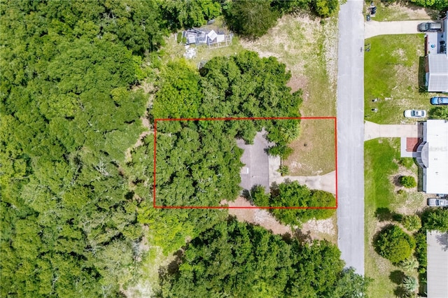 1540 NE 157th Ave, Williston, FL 32696 - photo 2