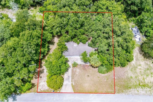 1540 NE 157th Ave, Williston, FL 32696 - photo 3