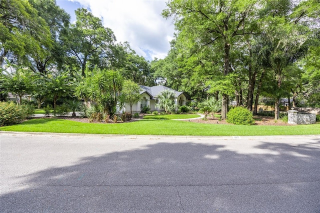 1917 SW 86th Ter, Gainesville, FL 32607 - photo 44