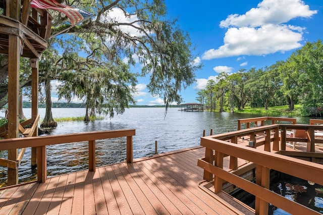 996 NW Scenic Lake Dr, Lake City, FL 32055 - photo 56