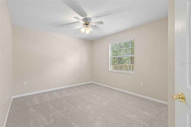 3915 NW 65th Ave, Gainesville, FL 32653 - photo 16