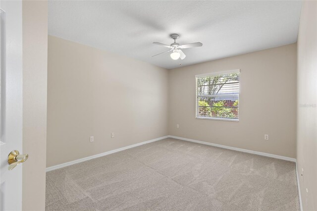 3915 NW 65th Ave, Gainesville, FL 32653 - photo 18