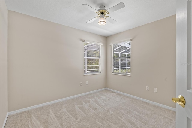 3915 NW 65th Ave, Gainesville, FL 32653 - photo 19