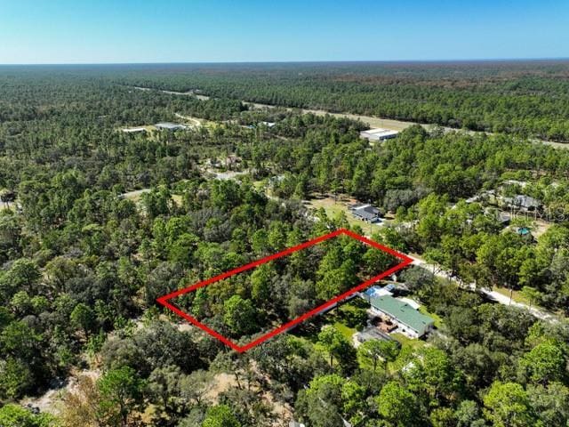 17468 Nuthatch Rd, Weeki Wachee, FL 34614 - photo 4