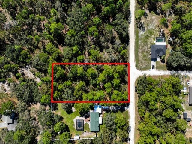 17468 Nuthatch Rd, Weeki Wachee, FL 34614 - photo 5