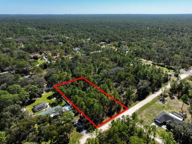 17468 Nuthatch Rd, Weeki Wachee, FL 34614 - photo 6