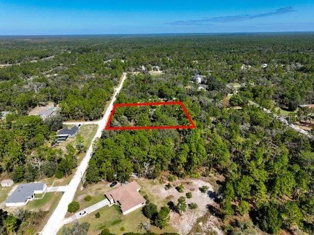 17468 Nuthatch Rd, Weeki Wachee, FL 34614 - photo 7