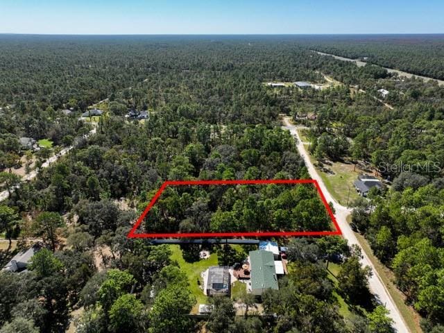 17468 Nuthatch Rd, Weeki Wachee, FL 34614 - photo 8