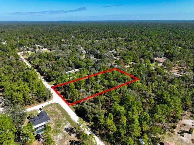 17468 Nuthatch Rd, Weeki Wachee, FL 34614 - photo 9