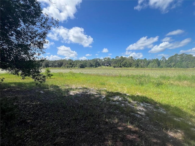 427 S Carolina St, Hawthorne, FL 32640 - photo 1