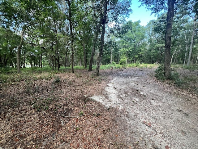427 S Carolina St, Hawthorne, FL 32640 - photo 4