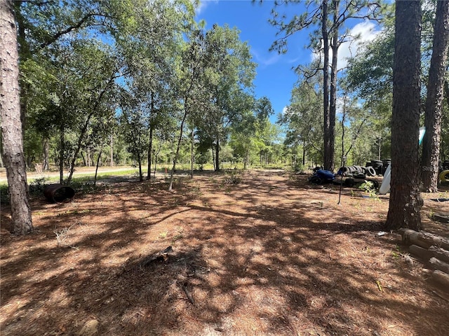 427 S Carolina St, Hawthorne, FL 32640 - photo 11