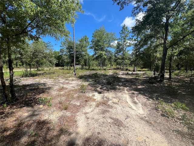 427 S Carolina St, Hawthorne, FL 32640 - photo 12
