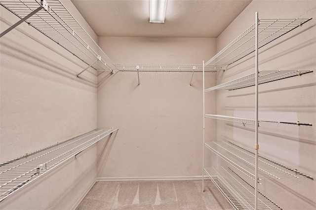 13207 NW 167th Ter, Alachua, FL 32615 - photo 19