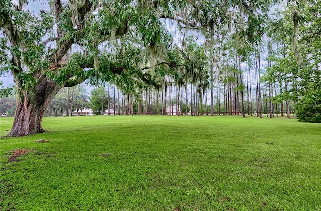 13207 NW 167th Ter, Alachua, FL 32615 - photo 33