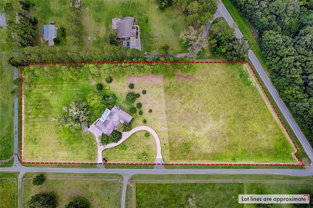 13207 NW 167th Ter, Alachua, FL 32615 - photo 40