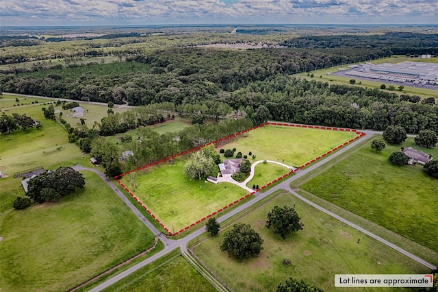 13207 NW 167th Ter, Alachua, FL 32615 - photo 42