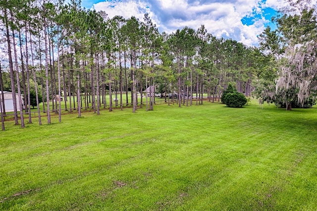 13207 NW 167th Ter, Alachua, FL 32615 - photo 43
