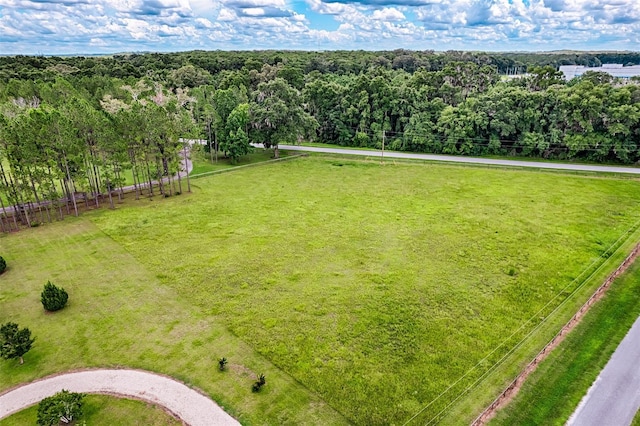 13207 NW 167th Ter, Alachua, FL 32615 - photo 44