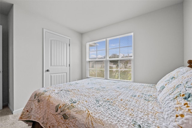 20105 NW 247th St, High Springs, FL 32643 - photo 14