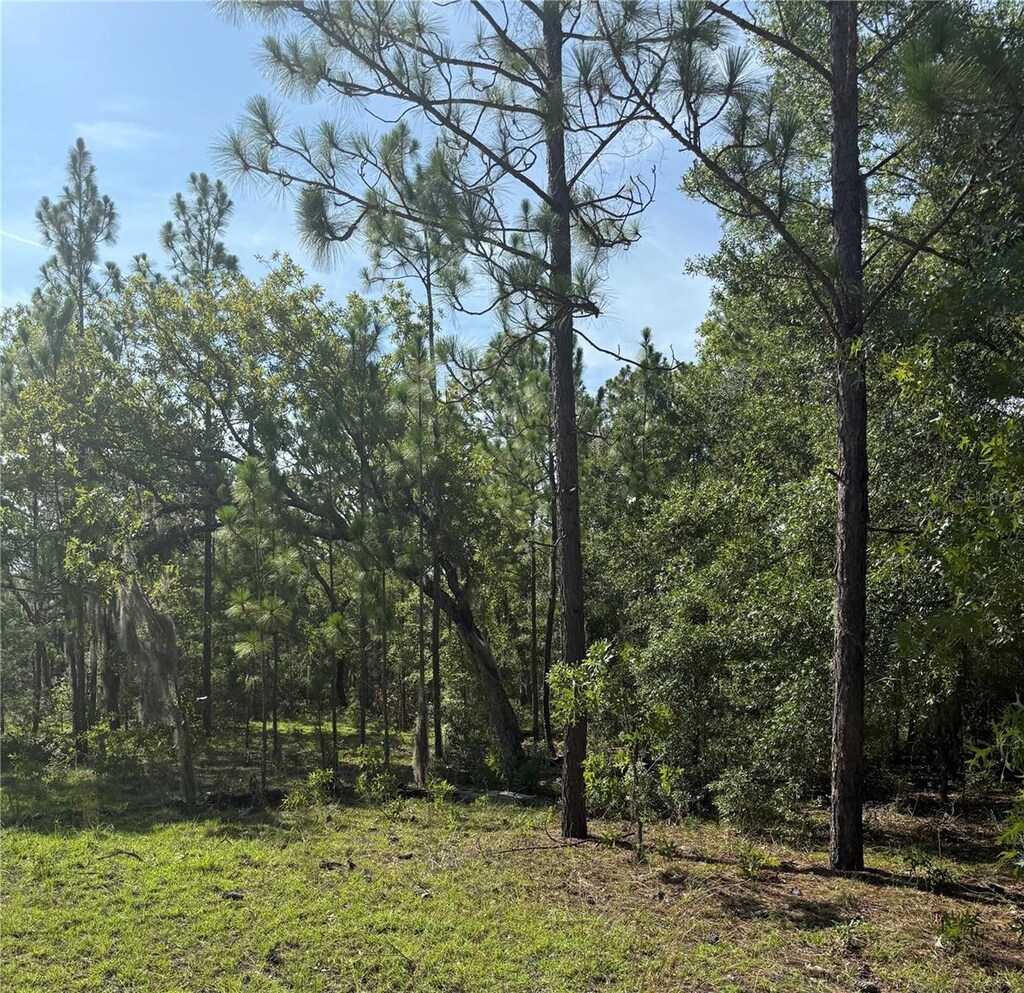 138 Taylor Ct, Hawthorne, FL 32640 - photo 2
