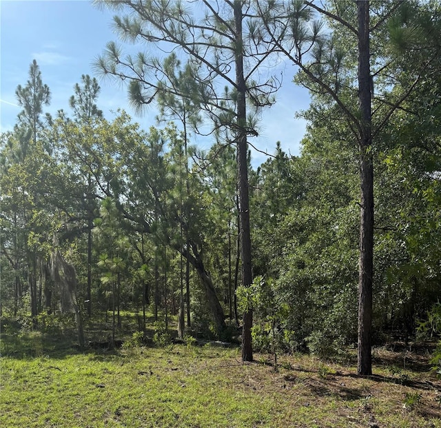 138 Taylor Ct, Hawthorne, FL 32640 - photo 2