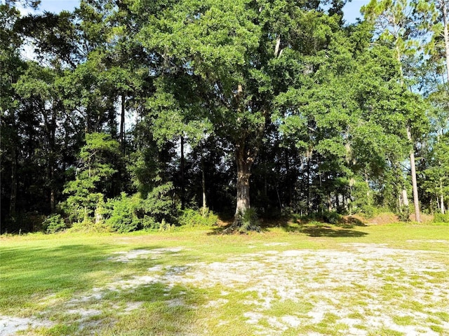 15904 NE 15th Pl, Starke, FL 32091 - photo 22