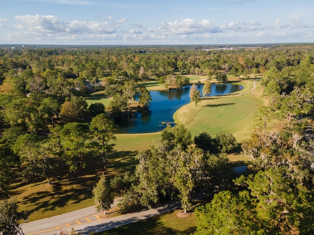 6194 NW 118th Pl, Alachua, FL 32615 - photo 34