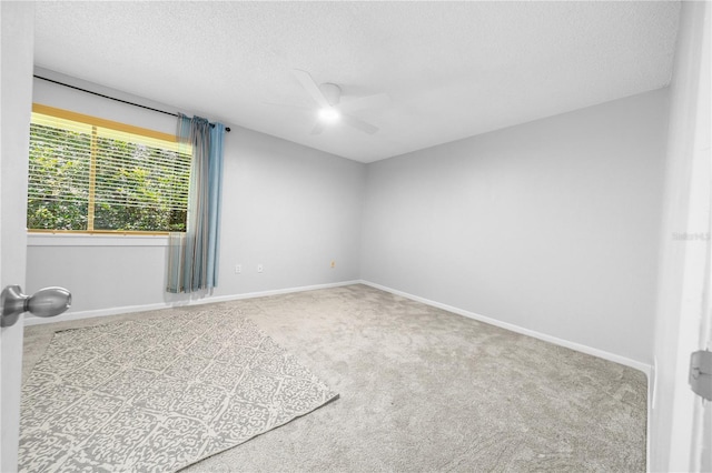2496 Forest Way, Gainesville, FL 32605 - photo 17