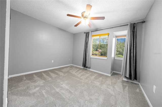 2496 Forest Way, Gainesville, FL 32605 - photo 22