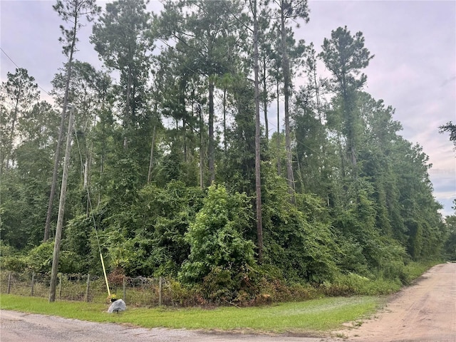 000 SE Ormond Witt Rd, Lake City, FL 32025 - photo 2