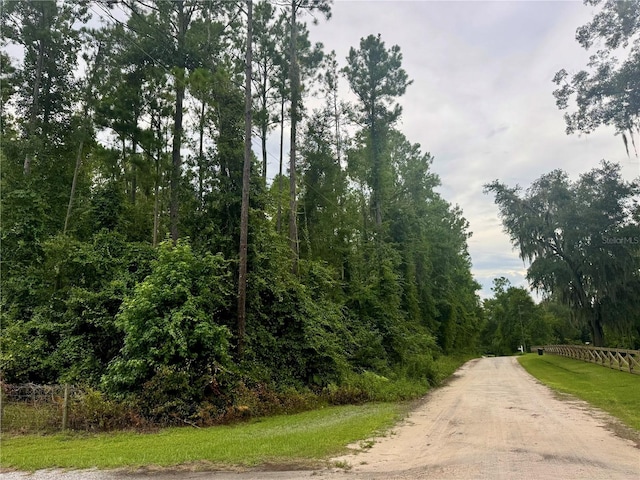 000 SE Ormond Witt Rd, Lake City, FL 32025 - photo 4