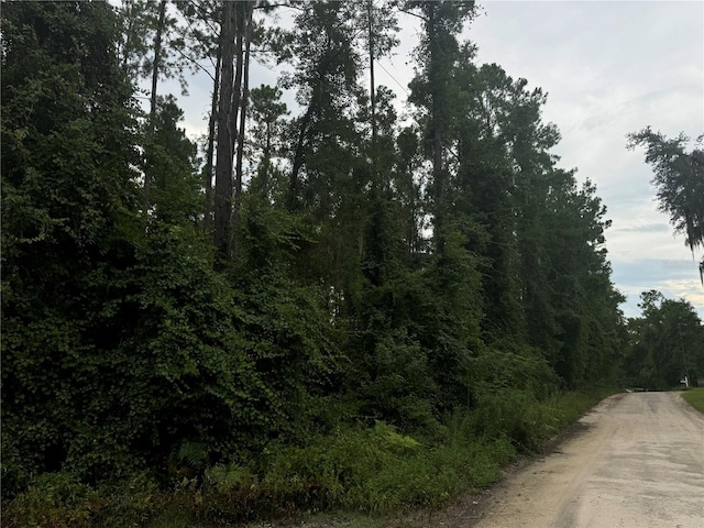 000 SE Ormond Witt Rd, Lake City, FL 32025 - photo 5