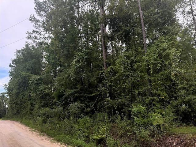 000 SE Ormond Witt Rd, Lake City, FL 32025 - photo 7