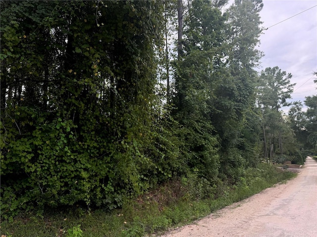 000 SE Ormond Witt Rd, Lake City, FL 32025 - photo 8
