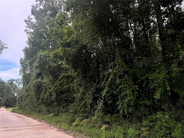 000 SE Ormond Witt Rd, Lake City, FL 32025 - photo 9