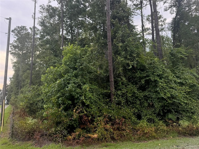 000 SE Ormond Witt Rd, Lake City, FL 32025 - photo 10