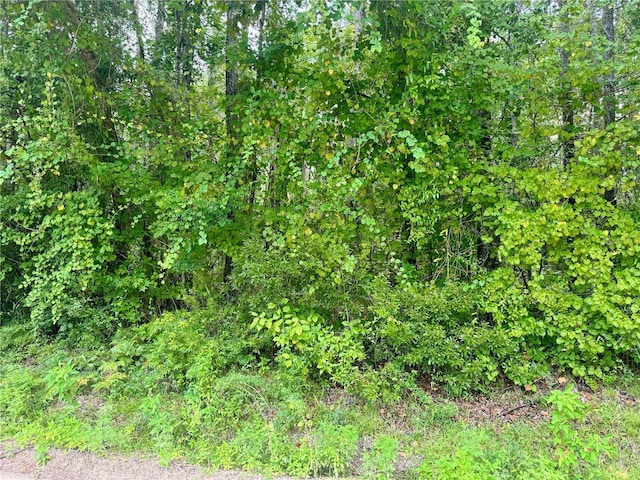 000 SE Ormond Witt Rd, Lake City, FL 32025 - photo 11