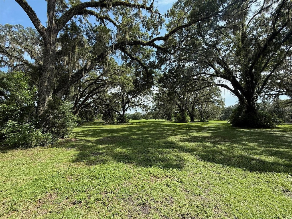 16419 SW 15th Ave, Newberry, FL 32669 - photo 1