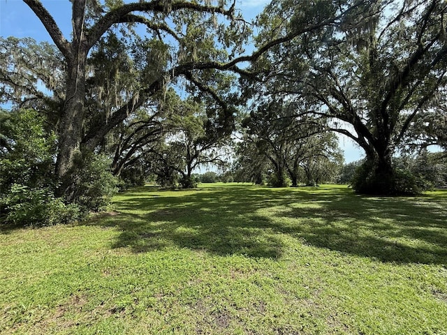 16419 SW 15th Ave, Newberry, FL 32669 - photo 1